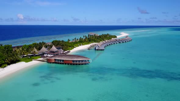 Aerial drone travel of coastline beach wildlife by clear sea and sand background