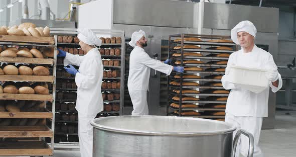 Working Day in a Bakery Industry Old Baker