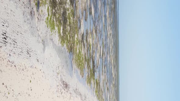 Vertical Video of Low Tide in the Ocean Near the Coast of Zanzibar Tanzania Aerial View