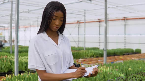 African American Young Girl Florist or Botanist in a White Shirt Examines the Condition of Plant