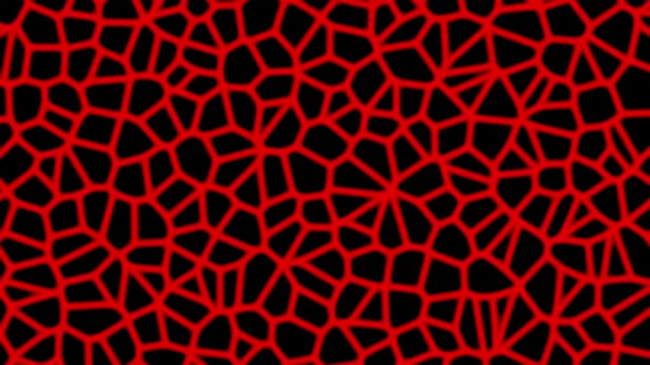 Cell Pattern 3