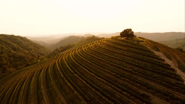 Aerial footage of a beautiful valley