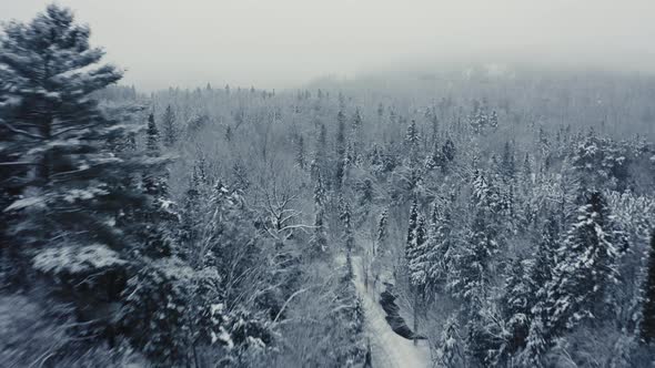 Foggy Winter Landscape - Drone Flying  - 4K - Mountains - Trees