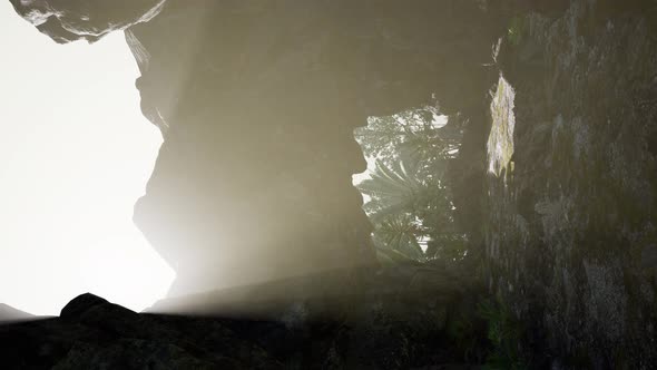 Vertical Shot of Tropical Cave at Sunset