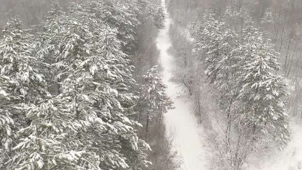 Winter scenery with trail through the woods 4K aerial video