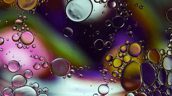 Abstract Colorful Food Oil Drops Bubbles 119