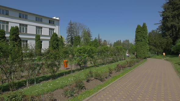 Courtyard of the Botanical Garden