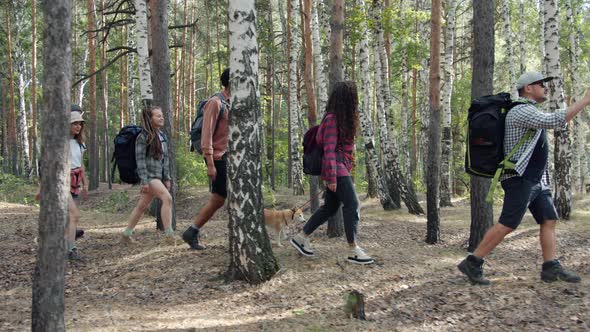 Diverse Group of Tourists Walking in Green Woods with Dog Talking Enjoying Adventurous Trip