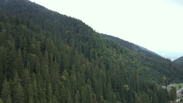 Aerial View of the Carpathian Mountains in Autumn. Ukraine