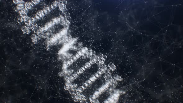 4K Rotation Plexus DNA