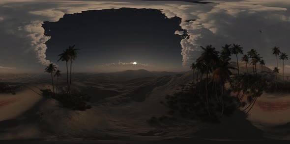 VR 360 Degree Aerial Panorama of Palms in Desert