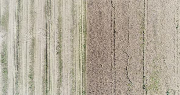 Various Agriculture Fields Aerial View