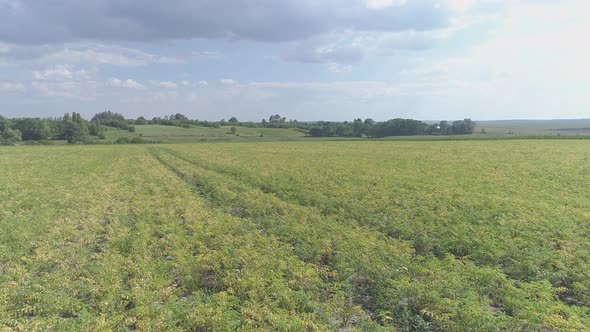 Aerial shot of a agricultural lands