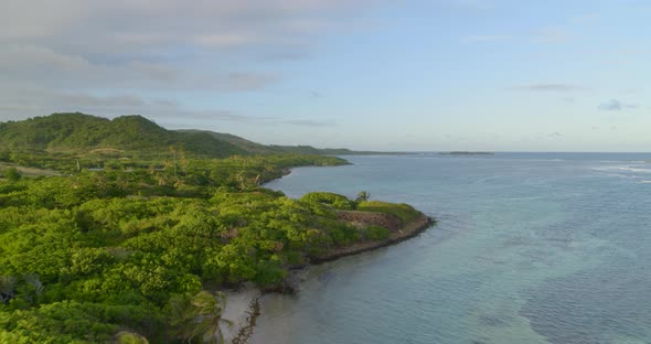 Aerial of palm trees along beauty sea coast, Cap Chevalier, Sainte-Anne