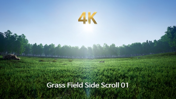 Grass Field Side Scroll 4K 01