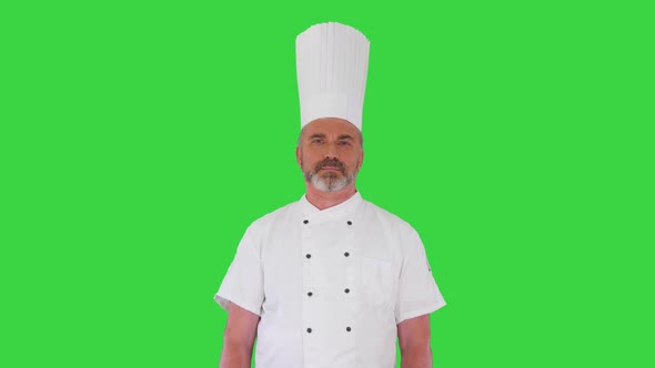 Cook in Chefs Hat and Uniform Standing Doing Nothing on a Green Screen Chroma Key