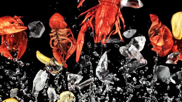 Boiled Crayfish with Lemon and Ice Rise Up and Fall Down