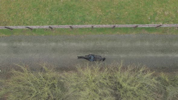 A Horse Rider on a Hack Through a Forest Track