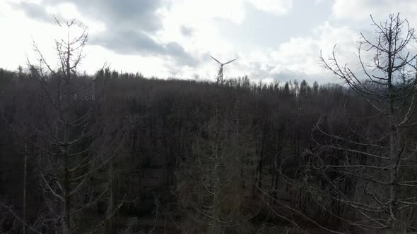 Wind turbine spinning fast behind a dark, dry forest in western Germany. Aerial tracking shot