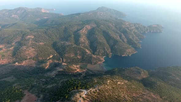 Forested Jagged Coastline and Coves by the Sea