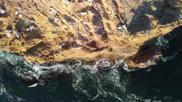 Dragon Head Arise From the Water  The Rock or Lava Formation with the Shape of a Large Animal