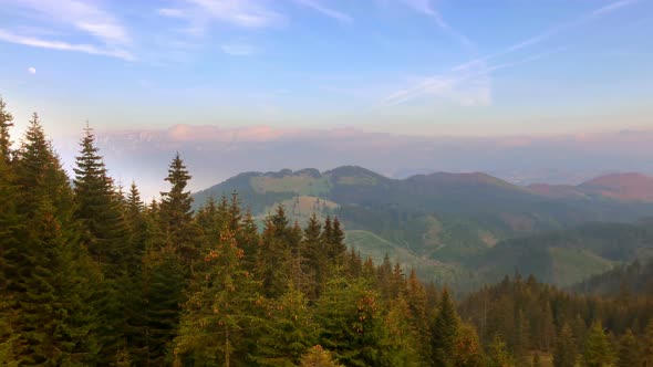 View of Mountain Forest at Sunset