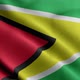 Animated Flag Of Guyana - VideoHive Item for Sale