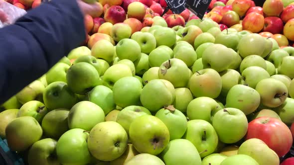 Mother and Daughter at the Market