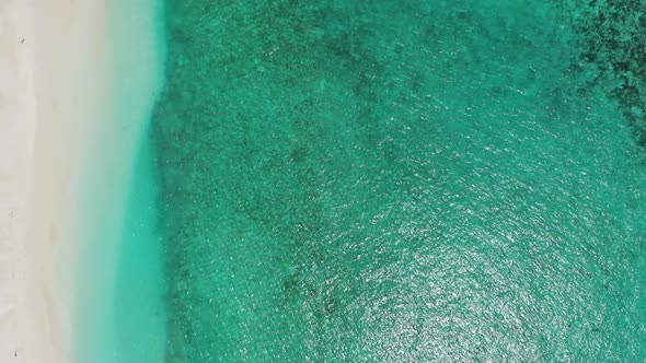 Aerial top view landscape of exotic island beach wildlife by transparent sea with white sand backgro