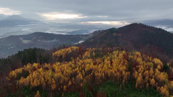 Autumn Sunrise in the forest