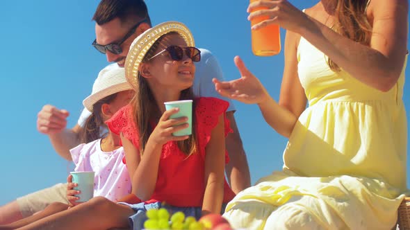 Happy Family Having Picnic in Summer