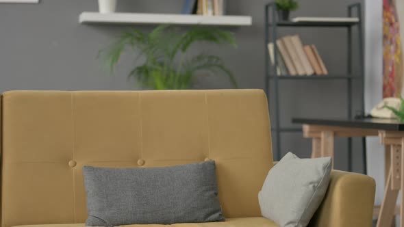 Young Man Coming Siting on Sofa