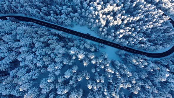 Top View Of Snowy Forest With Road During Winter