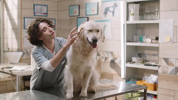 Vet Examining Cute Dog in Clinic