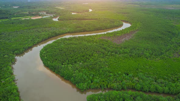 Top view of winding river in tropical mangrove trees