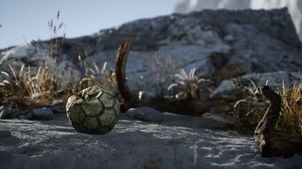 An Old Torn Soccer Ball Thrown Lies on Sand of Sea Beach