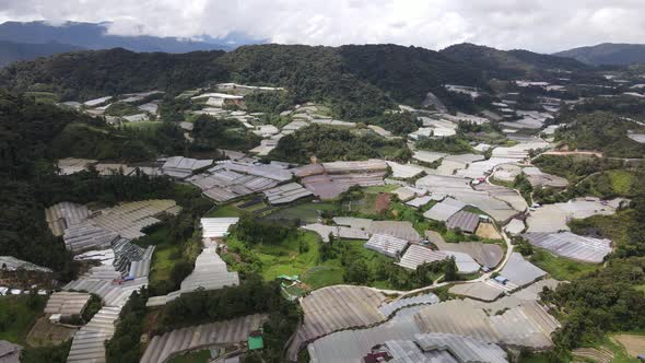 Cameron Highlands, Pahang Malaysia