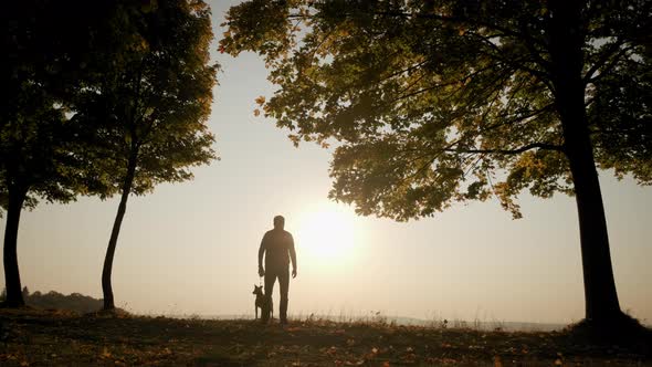 Against the Background of the Orange Sunset Sky Silhouettes of a Man Walking with a Dog During