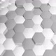 Gray Hexa Background - VideoHive Item for Sale