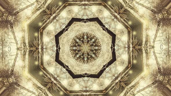 Abstract Animated Kaleidoscope Motion Background