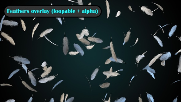Feathers Falling Overlay loopable alt