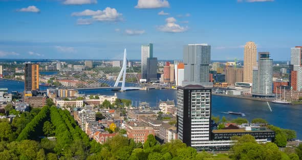 View of Rotterdam City and the Erasmus Bridge Erasmusbrug