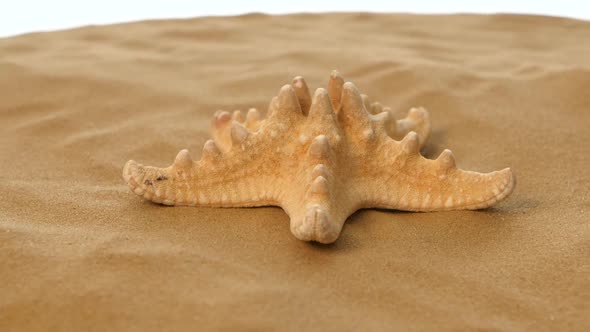 Starfish on Sand, White, Rotation, Closeup