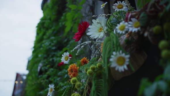 Flowers in the evening