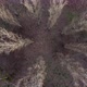 Aerial View From Above of Autumn Forest Gray Trees Bald Trees in Late Autumn - VideoHive Item for Sale