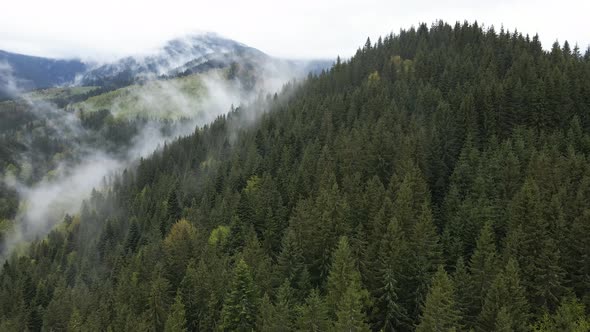 Ukraine, Carpathians: Fog in the Mountains. Aerial.