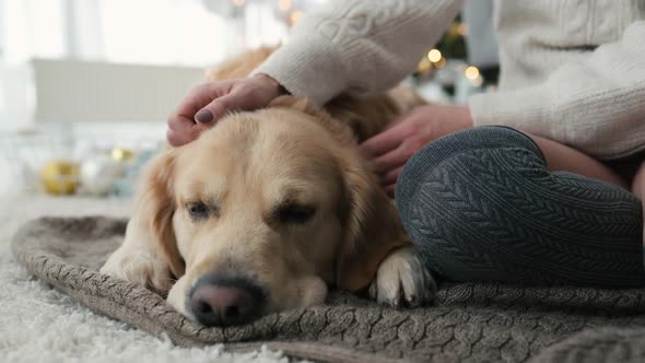 Girl with Golden Retriever Dog