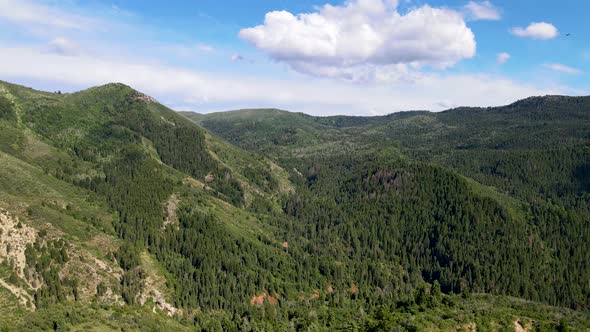 Slow pull back aerial view of mountain wilderness covered in a green forest