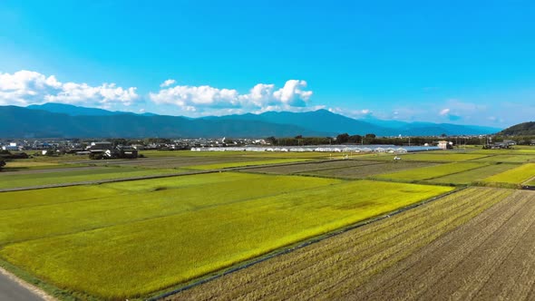 japanese countryside with fields and greenhouses with solarpanels