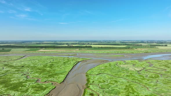 Beautiful high aerial shot of vibrant green wetlands with muddy rivers flowing alongside agricultura
